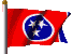 The Great State Of Tennessee Flag